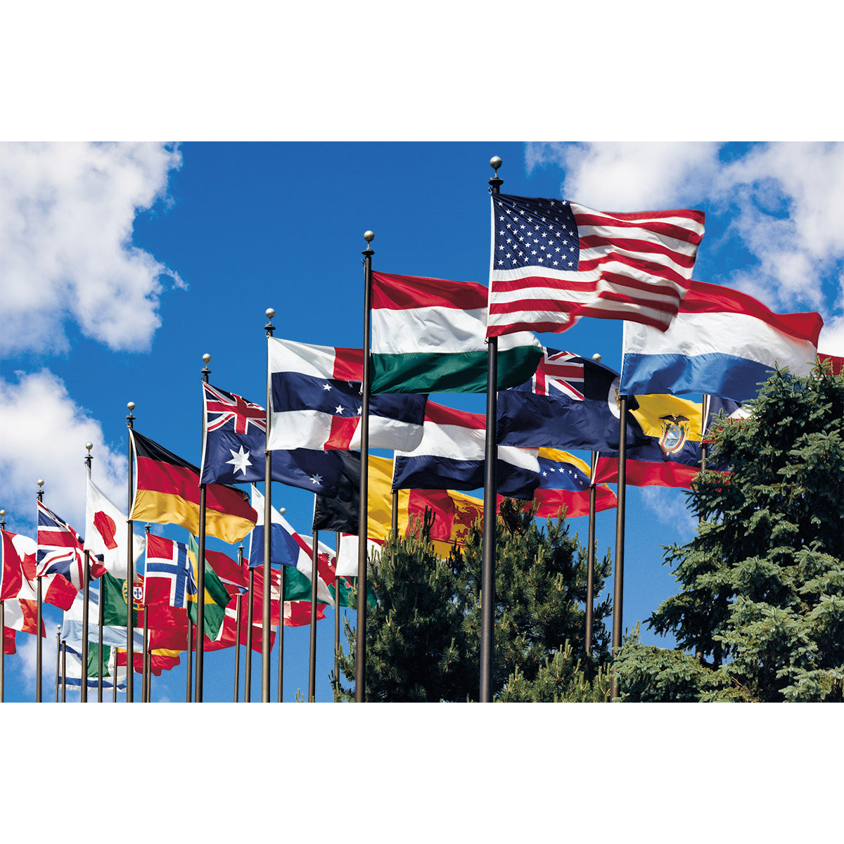 International Flag and Flagpole Display-Flagsource Southeast in Woodstock, Georgia