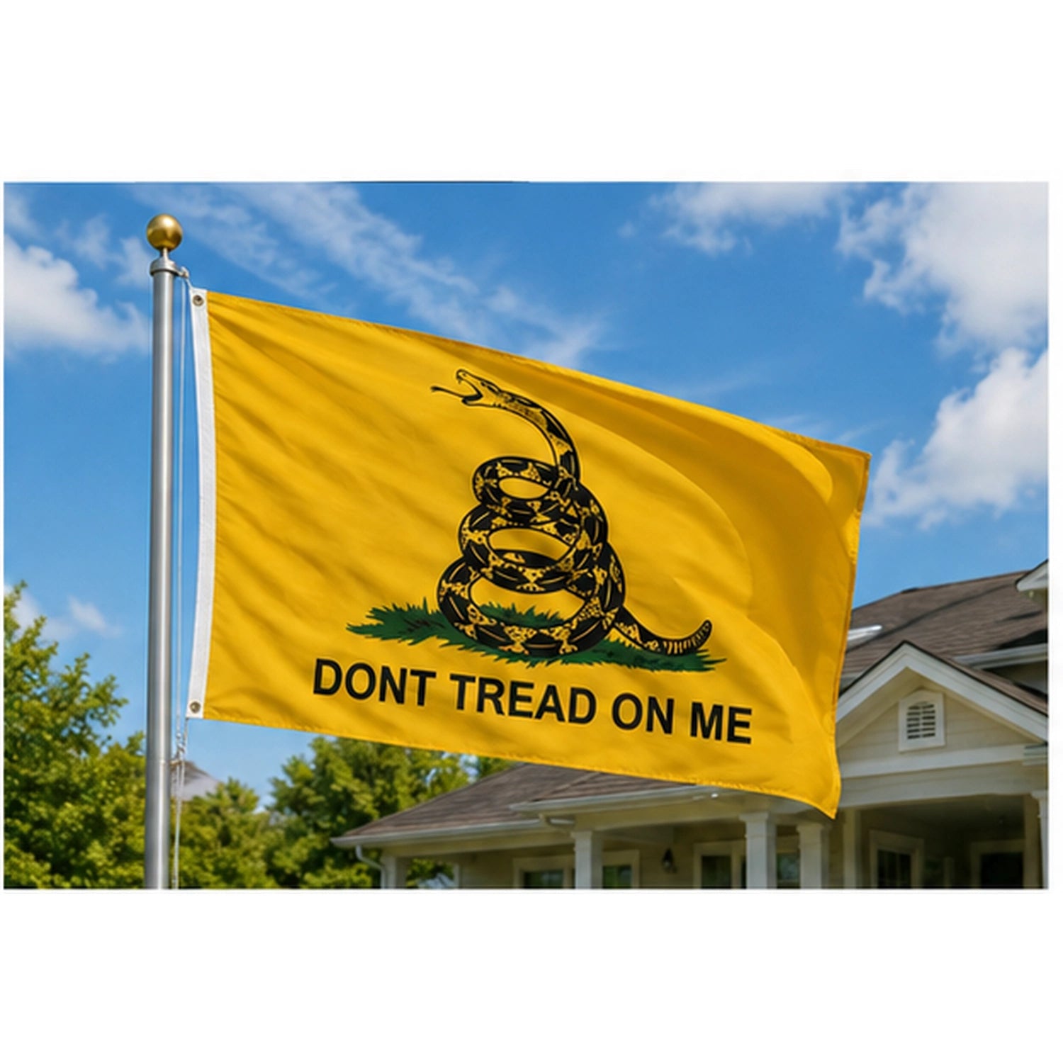 Gadsden Flag