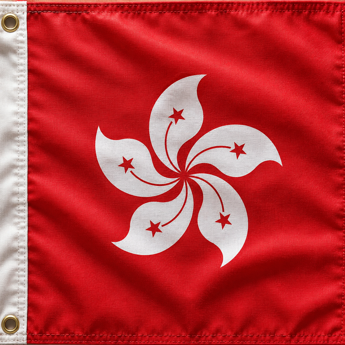 Hong Kong Flag 2'x3' to 5'x8' Nylon