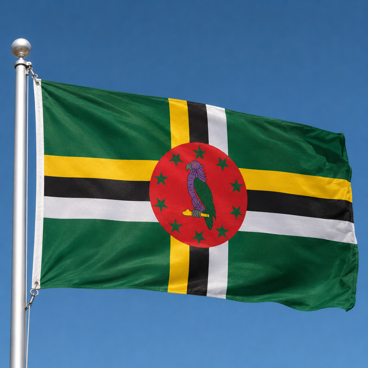 Dominica Flag 2'x3' to 5'x8' Nylon