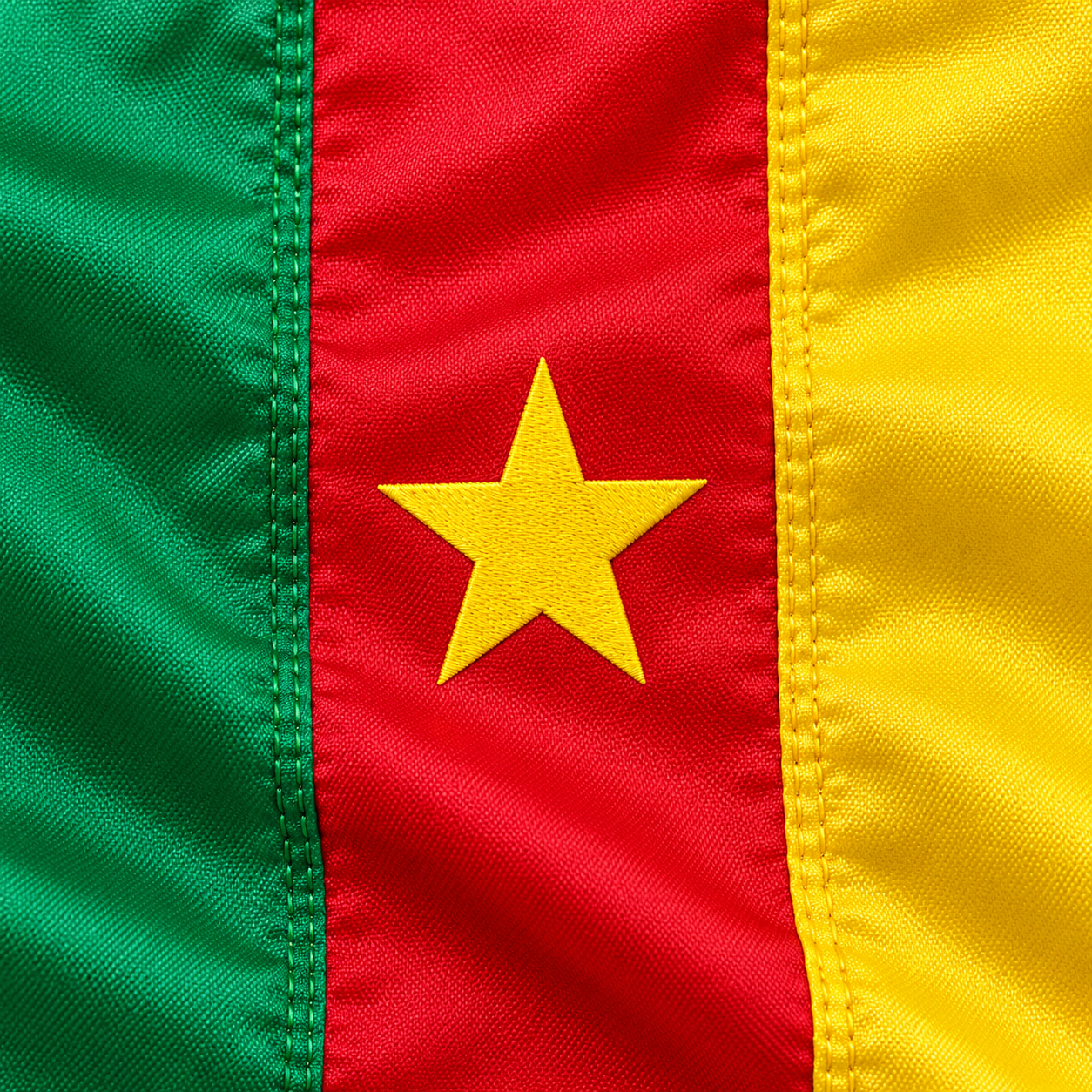 Cameroon Flag 2'x3' to 5'x8' Nylon