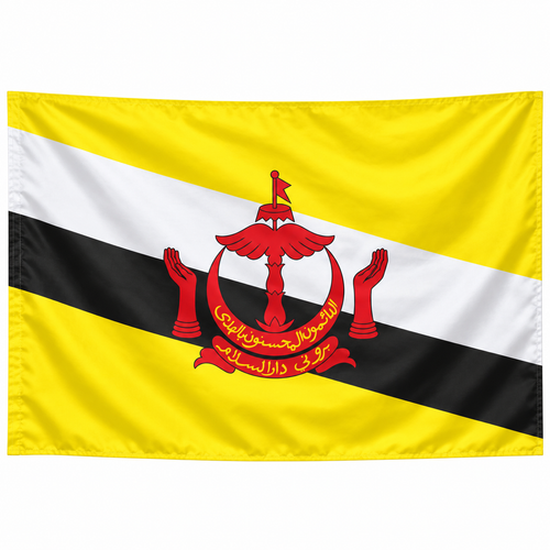 Brunei Flag 2'x3' to 5'x8' Nylon