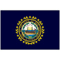 Nylon-New-Hampshire-State-Flag-Flagsource-Southeast-Woodstock-Ga