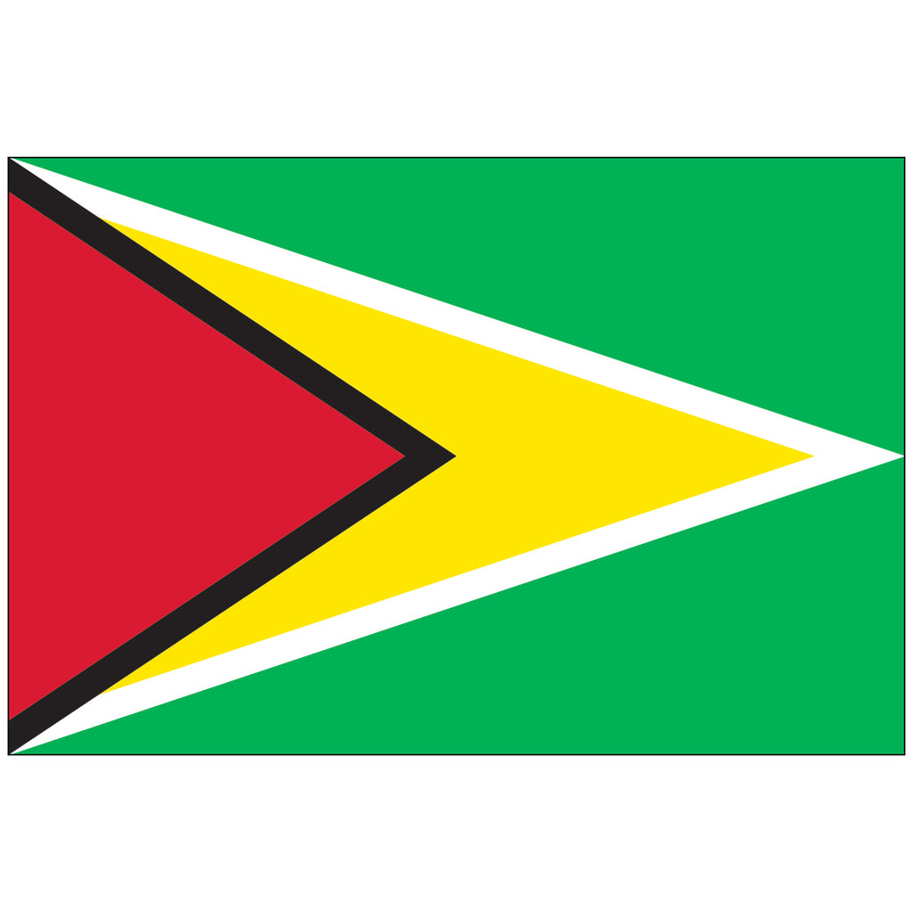 Guyana-Flag-National-Flags-International-Flags-Country Flags-Flagsource Southeast-Woodstock-GA