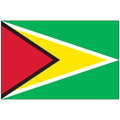 Guyana-Flag-National-Flags-International-Flags-Country Flags-Flagsource Southeast-Woodstock-GA
