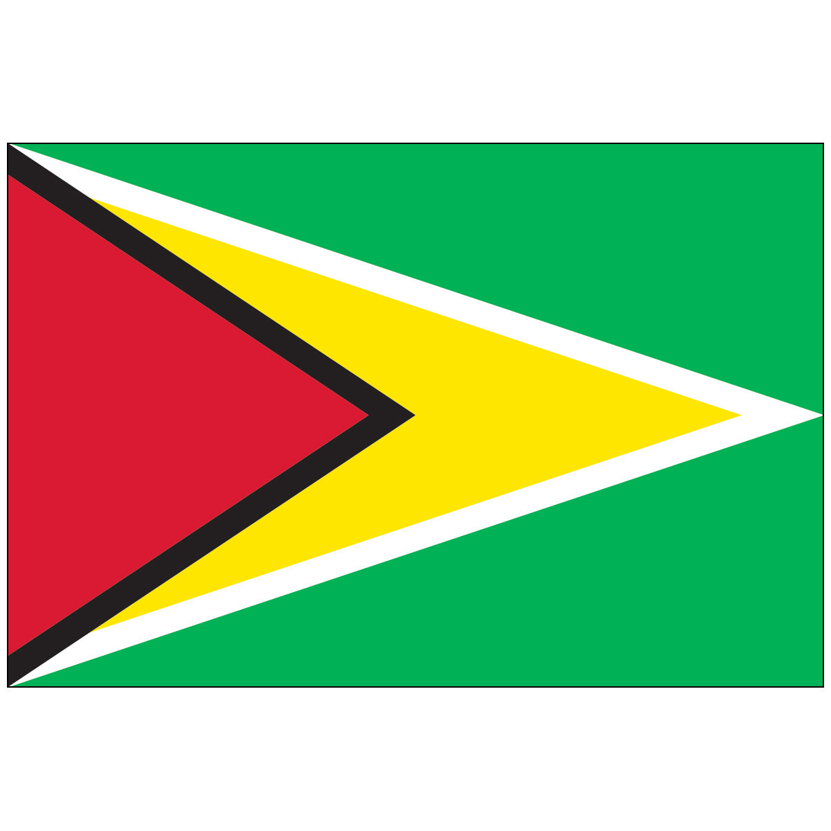 Guyana-Flag-National-Flags-International-Flags-Country Flags-Flagsource Southeast-Woodstock-GA
