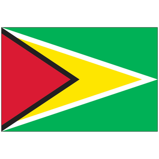 Guyana-Flag-National-Flags-International-Flags-Country Flags-Flagsource Southeast-Woodstock-GA