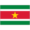 Suriname-Flag-National-Flags-International-Flags-Country Flags-Flagsource Southeast-Woodstock-GA